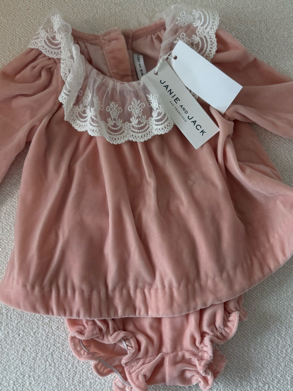 Janie and Jack Blush Velvet Lace-Trim Dress